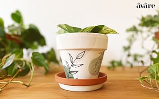 Exploring the Versatility of Clay Pots: From Gardening to Home Decor